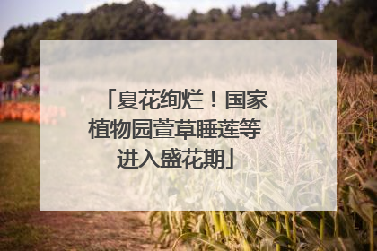 夏花绚烂！国家植物园萱草睡莲等进入盛花期