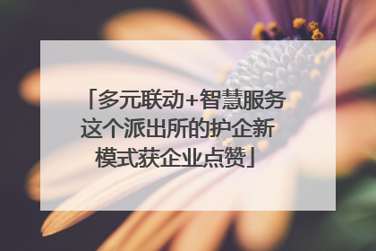 多元联动+智慧服务 这个派出所的护企新模式获企业点赞