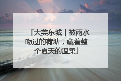 大美东城｜被雨水吻过的荷塘，藏着整个夏天的温柔