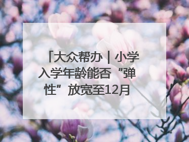 大众帮办｜小学入学年龄能否“弹性”放宽至12月31日？有地方已在探索