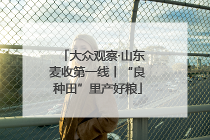 大众观察·山东麦收第一线丨“良种田”里产好粮