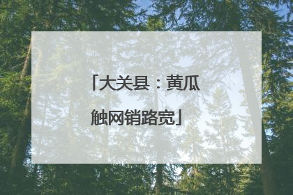 大关县：黄瓜触网销路宽