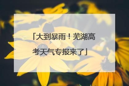大到暴雨！芜湖高考天气专报来了