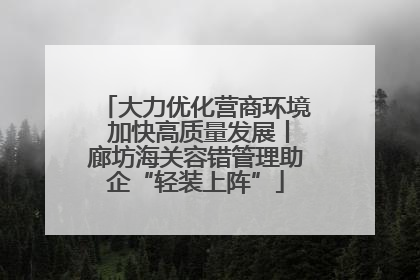 大力优化营商环境 加快高质量发展丨廊坊海关容错管理助企“轻装上阵”