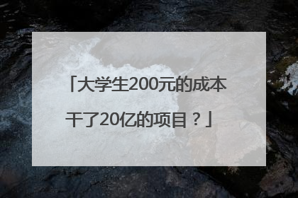 大学生200元的成本干了20亿的项目？