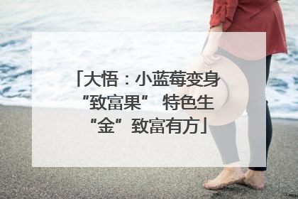 大悟：小蓝莓变身“致富果” 特色生“金”致富有方