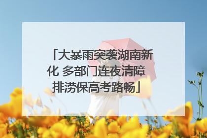大暴雨突袭湖南新化 多部门连夜清障排涝保高考路畅