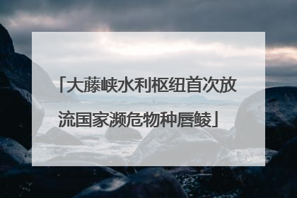 大藤峡水利枢纽首次放流国家濒危物种唇鲮