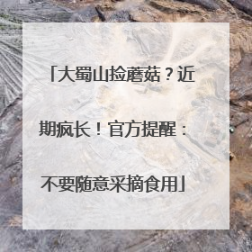 大蜀山捡蘑菇？近期疯长！官方提醒：不要随意采摘食用