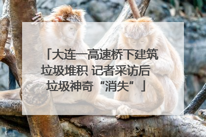 大连一高速桥下建筑垃圾堆积 记者采访后垃圾神奇“消失”