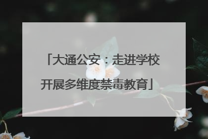 大通公安：走进学校开展多维度禁毒教育