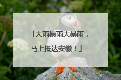 大雨暴雨大暴雨，马上抵达安徽！