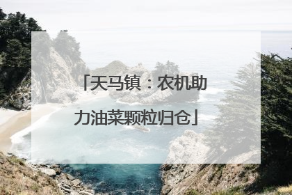 天马镇：农机助力油菜颗粒归仓