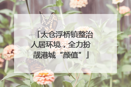 太仓浮桥镇整治人居环境，全力扮靓港城“颜值”