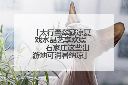 太行叠翠藏凉夏 戏水品艺享欢娱——石家庄这些出游地可消暑纳凉