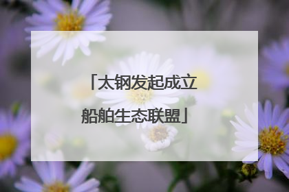 太钢发起成立船舶生态联盟
