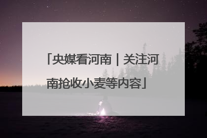 央媒看河南｜关注河南抢收小麦等内容