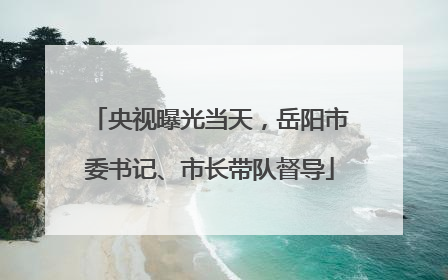 央视曝光当天，岳阳市委书记、市长带队督导