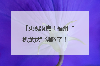 央视聚焦！福州“扒龙龙”沸腾了！
