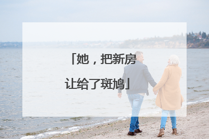 她，把新房让给了斑鸠