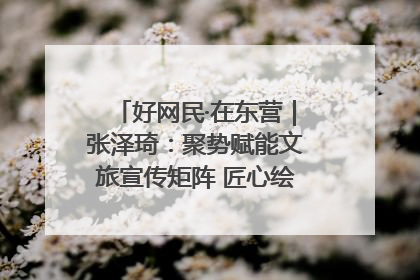 好网民·在东营｜张泽琦：聚势赋能文旅宣传矩阵 匠心绘就东营诗与远方
