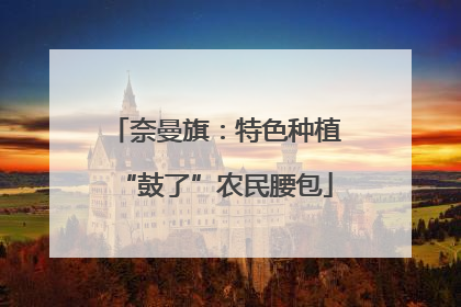 奈曼旗：特色种植“鼓了”农民腰包