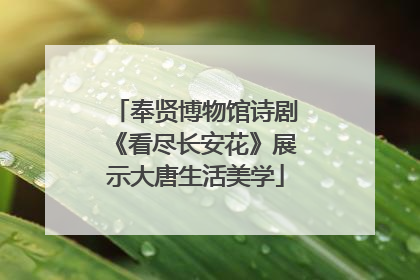 奉贤博物馆诗剧《看尽长安花》展示大唐生活美学