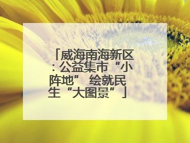 威海南海新区：公益集市“小阵地” 绘就民生“大图景”