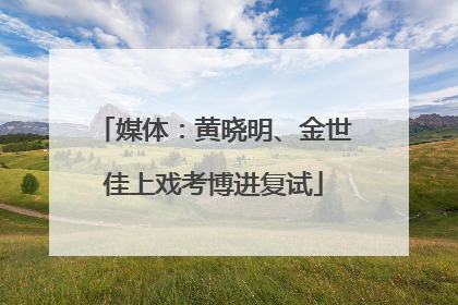 媒体:黄晓明、金世佳上戏考博进复试