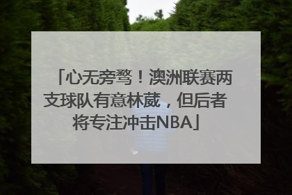 心无旁骛！澳洲联赛两支球队有意林葳，但后者将专注冲击NBA
