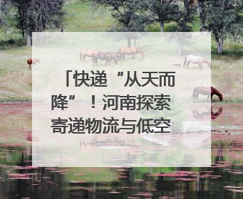 快递“从天而降”！河南探索寄递物流与低空经济融合发展｜一线