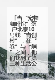 当“宠物咖啡馆”落户北京10号线“青创村”：在“卷”与“躺”之间，他们找到了第三种生活公式