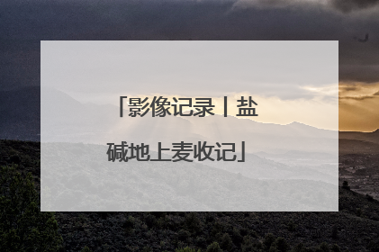 影像记录丨盐碱地上麦收记
