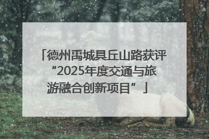 德州禹城具丘山路获评“2025年度交通与旅游融合创新项目”