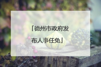 德州市政府发布人事任免
