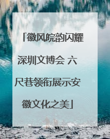 徽风皖韵闪耀深圳文博会 六尺巷领衔展示安徽文化之美