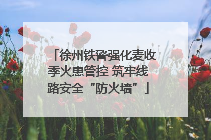徐州铁警强化麦收季火患管控 筑牢线路安全“防火墙”