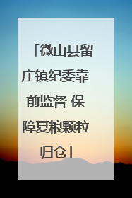 微山县留庄镇纪委靠前监督 保障夏粮颗粒归仓
