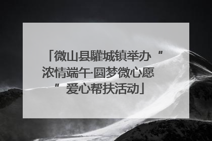 微山县驩城镇举办“浓情端午·圆梦微心愿”爱心帮扶活动