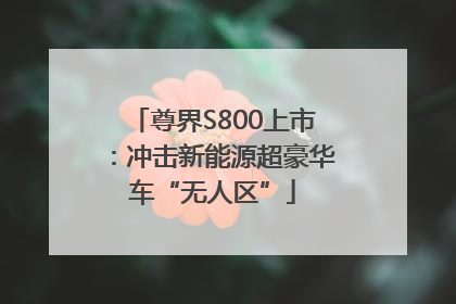 尊界S800上市：冲击新能源超豪华车“无人区”