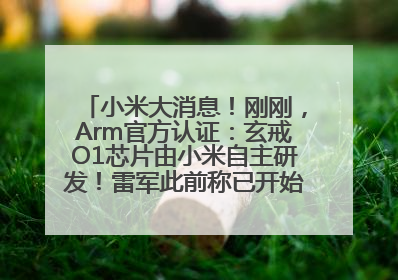 小米大消息！刚刚，Arm官方认证：玄戒O1芯片由小米自主研发！雷军此前称已开始大规模量产