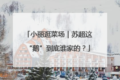 小丽逛菜场｜苏超这“鹅”到底谁家的？