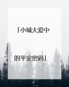 小城大爱中的平安密码