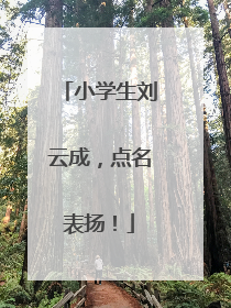 小学生刘云成，点名表扬！