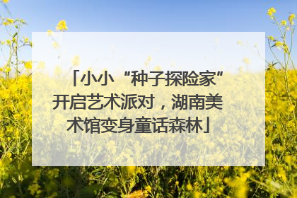 小小“种子探险家”开启艺术派对，湖南美术馆变身童话森林