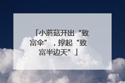 小蘑菇开出“致富伞”，撑起“致富半边天”
