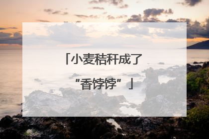 小麦秸秆成了“香饽饽”