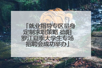 就业指导专区量身定制求职策略 德阳罗江夏季大学生专场招聘会成功举办