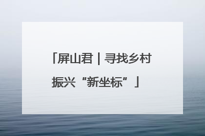 屏山君｜寻找乡村振兴“新坐标”