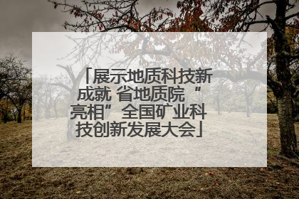展示地质科技新成就 省地质院“亮相”全国矿业科技创新发展大会
